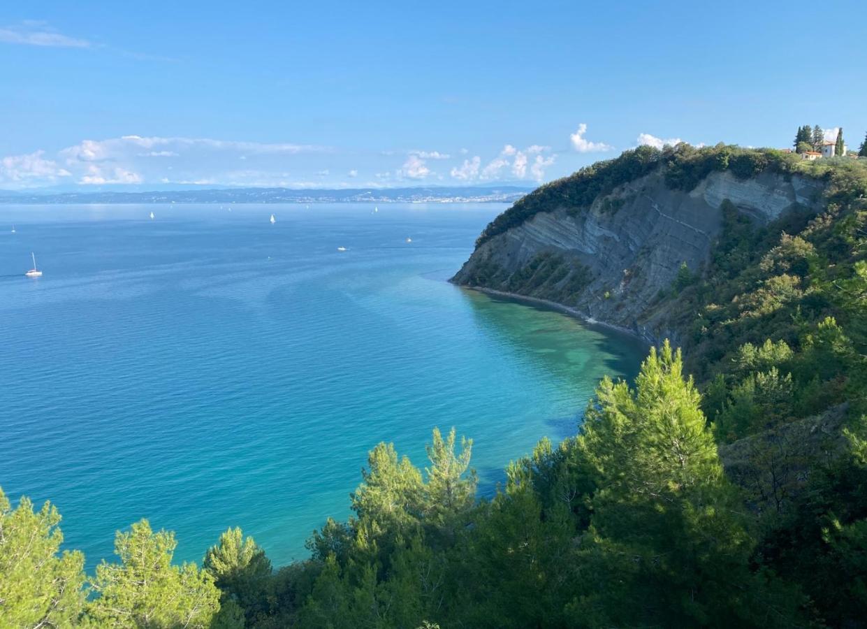 Apolon Appartement Izola