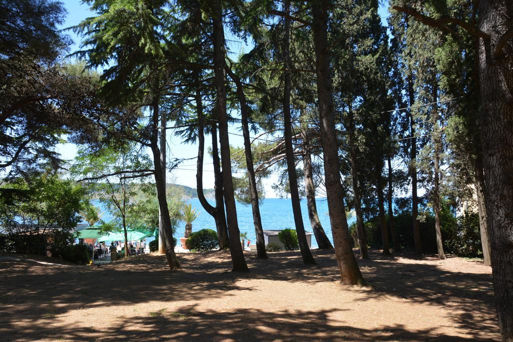 Appartement Apolon